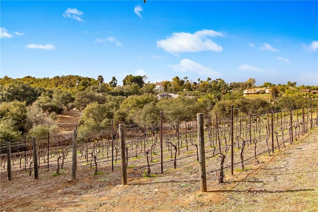 3221 Integrity Way, Fallbrook, CA 92028 - view of local wilderness