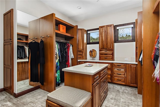 3221 Integrity Way, Fallbrook, CA 92028 - walk in closet with light carpet