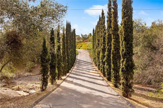 3221 Integrity Way, Fallbrook, CA 92028 - view of home's community