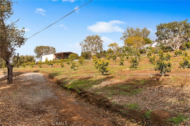 view of yard with driveway