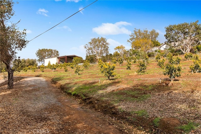 3221 Integrity Way, Fallbrook, CA 92028 - view of road