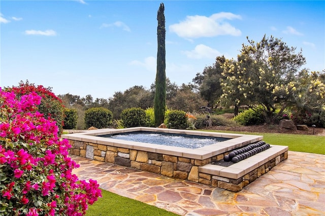 view of swimming pool with a jacuzzi and a patio