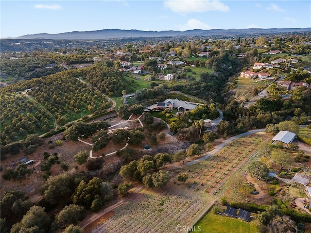 3221 Integrity Way, Fallbrook, CA 92028 - aerial overview of property's location with a mountain backdrop and rural landscape