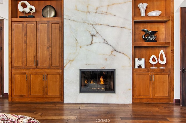 details featuring a premium fireplace and wood finished floors