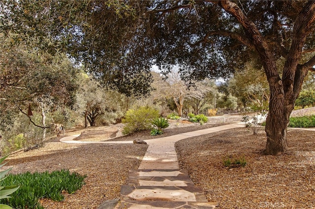 3221 Integrity Way, Fallbrook, CA 92028 - view of yard