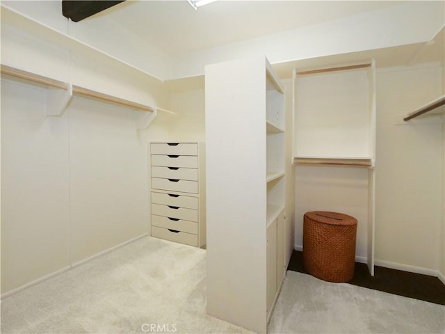 spacious closet with carpet flooring