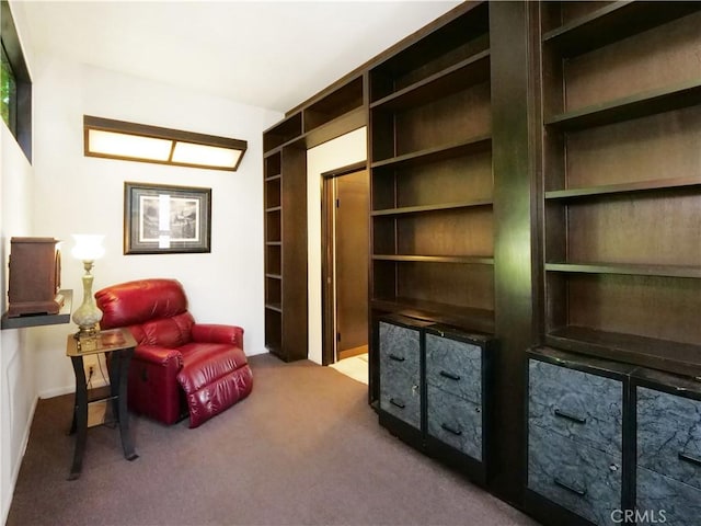 sitting room featuring carpet floors