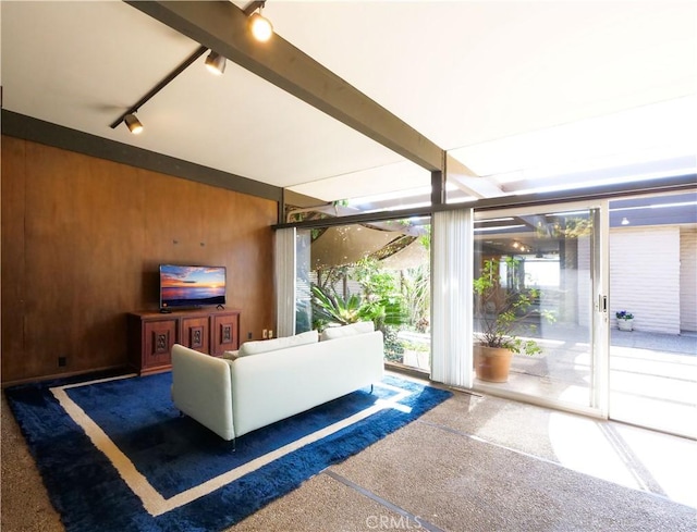 unfurnished living room featuring carpet floors, beam ceiling, track lighting, floor to ceiling windows, and wood walls