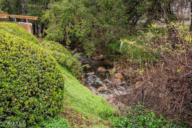 view of nature with a wooded view