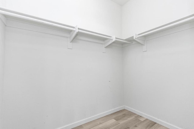 walk in closet featuring light wood-type flooring