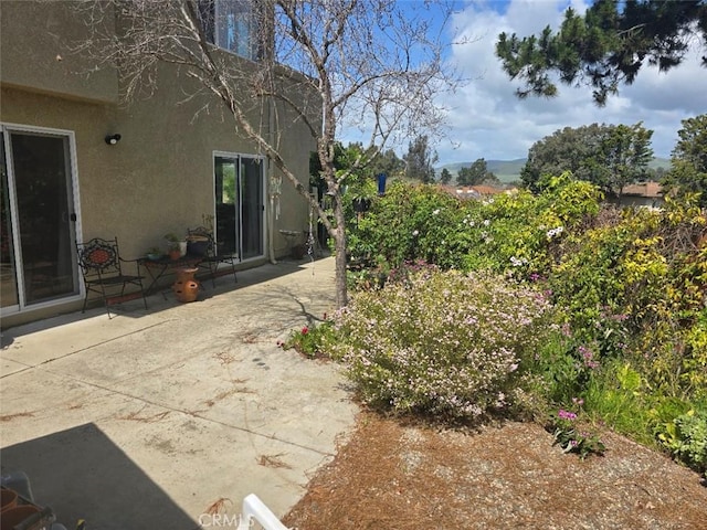 view of yard featuring a patio