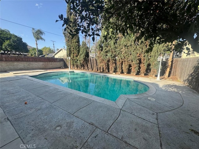 view of swimming pool featuring a patio area, a fenced backyard, and a fenced in pool