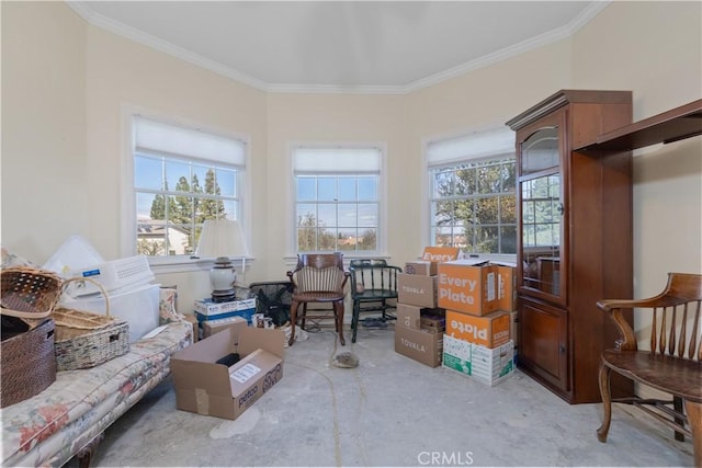 interior space featuring a healthy amount of sunlight and crown molding
