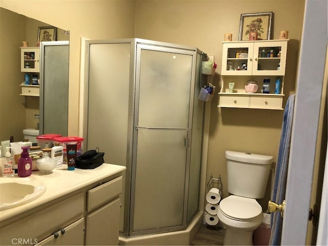 bathroom with a shower stall, toilet, and vanity