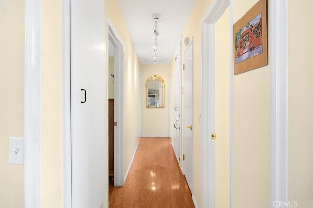 hallway with rail lighting and light wood finished floors