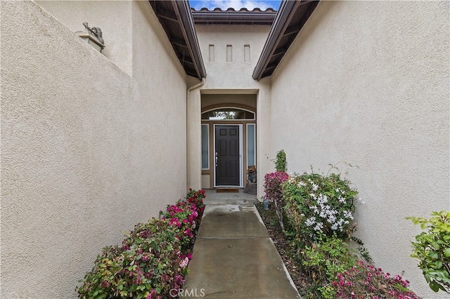 doorway to property featuring stucco siding
