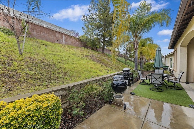 view of yard featuring a fenced backyard and a patio