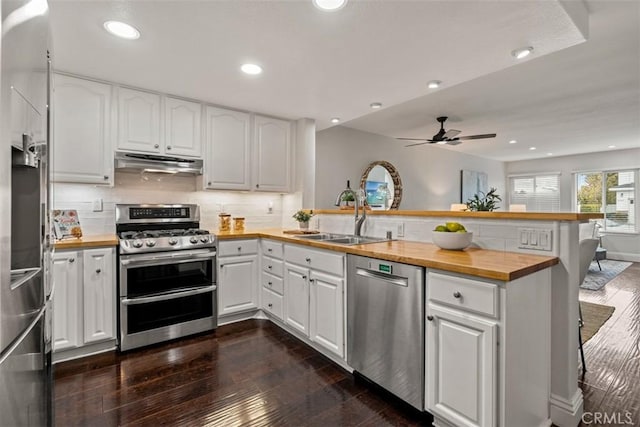 kitchen with under cabinet range hood, a sink, stainless steel appliances, a peninsula, and wooden counters