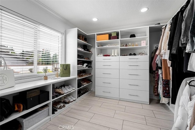 view of walk in closet