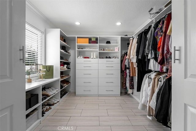 view of spacious closet