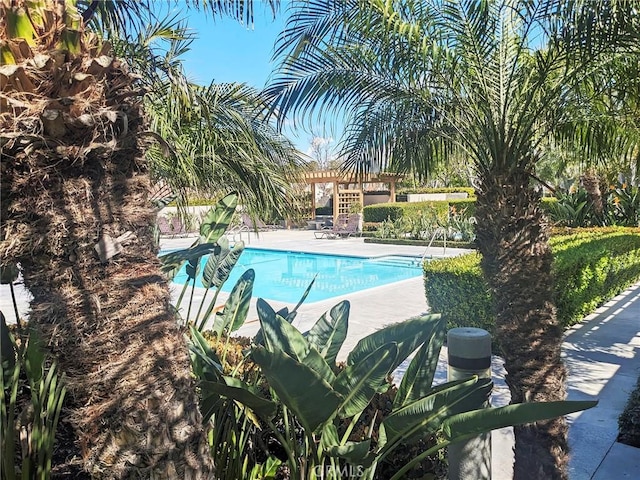 community pool with a pergola and a patio