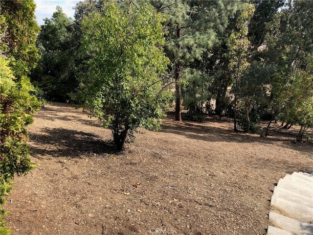 24030 Shotgun Ln, Diamond Bar, CA 91765 - view of nature