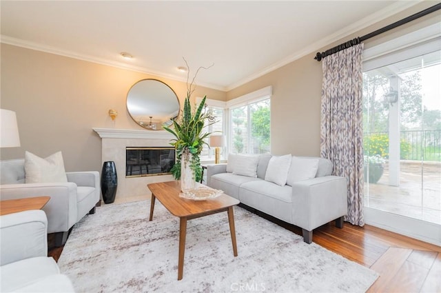 living room with wood finished floors, ornamental molding, and a high end fireplace