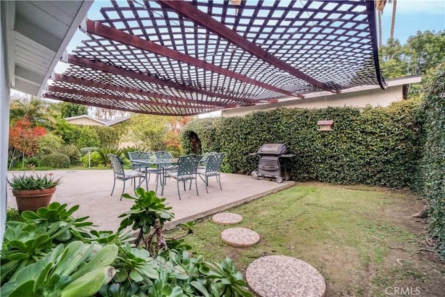 view of yard featuring a patio area