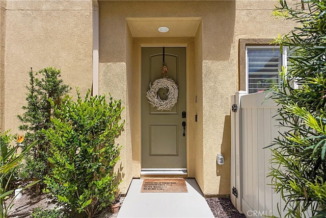 view of exterior entry with stucco siding