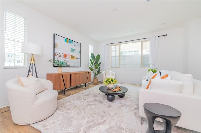 living room featuring wood finished floors and a wealth of natural light