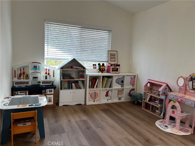 playroom featuring wood finished floors