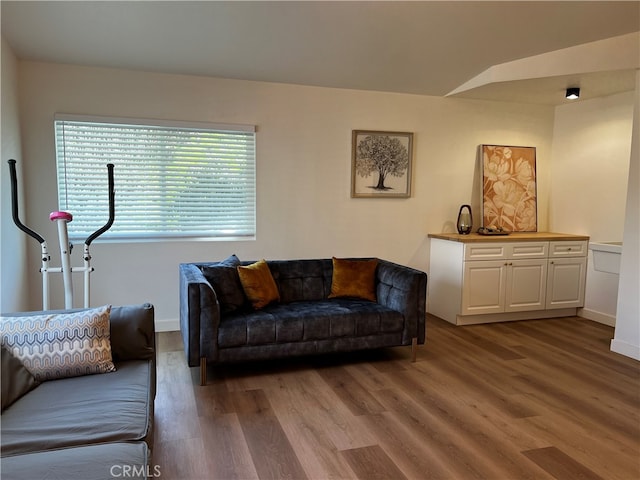 living room featuring wood finished floors