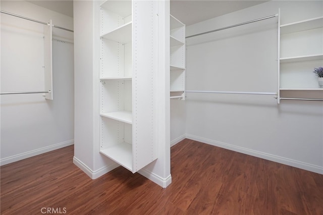 walk in closet with wood finished floors