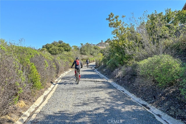 view of road with curbs