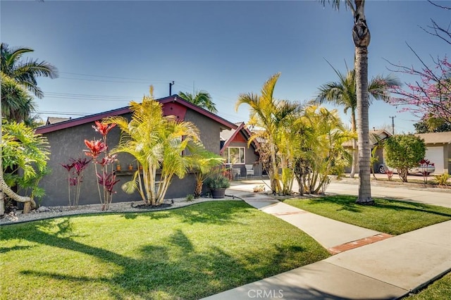 view of property hidden behind natural elements with stucco siding and a front yard