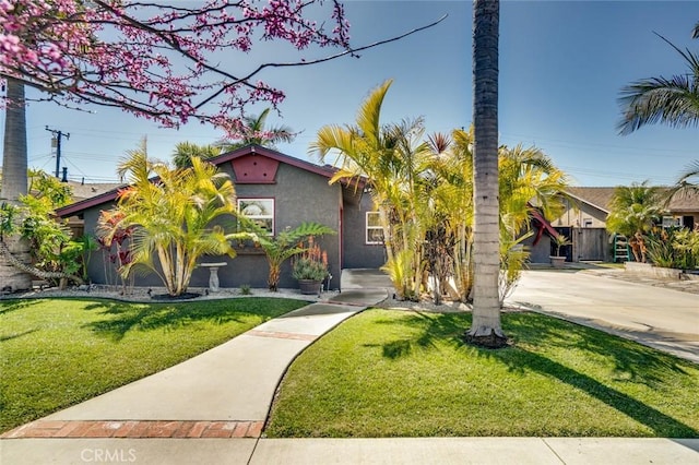 view of front of home with a front lawn, driveway, and stucco siding