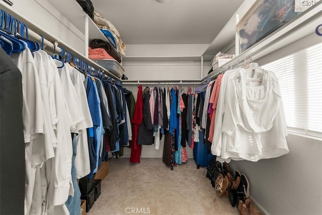 spacious closet with carpet floors