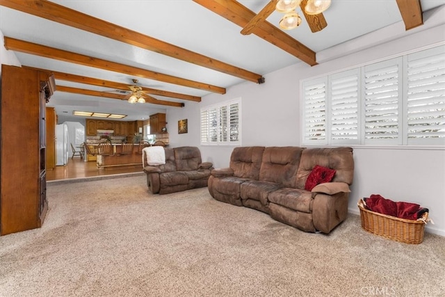 living area featuring carpet flooring, beam ceiling, and a ceiling fan