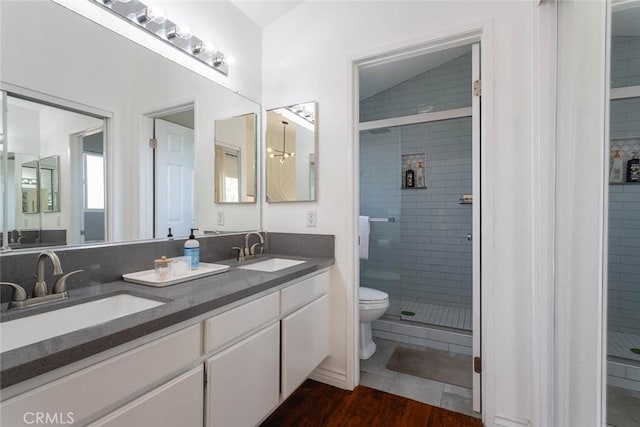 bathroom with a shower stall, toilet, lofted ceiling, and a sink