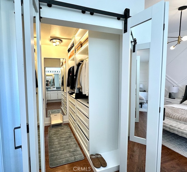 walk in closet featuring a barn door and dark wood-style floors