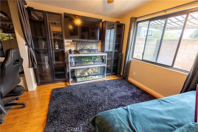 interior space with baseboards, lofted ceiling, and wood finished floors