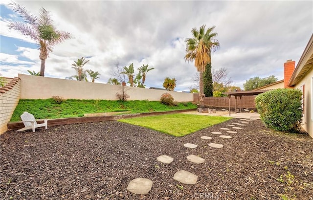 view of yard featuring a patio and a fenced backyard