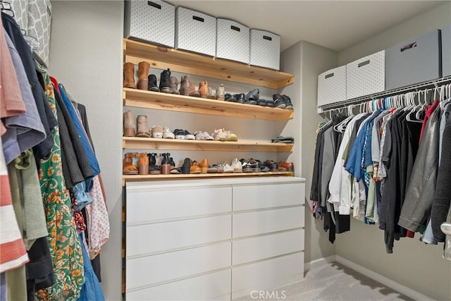 spacious closet featuring carpet flooring