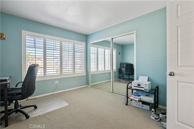 office area featuring baseboards and carpet floors