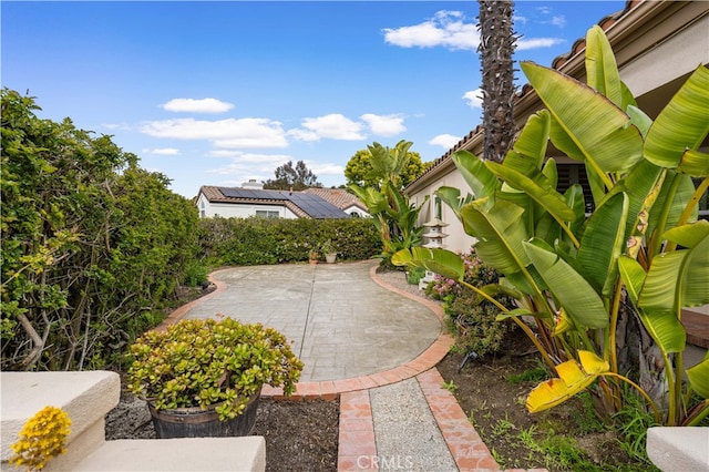 view of yard with a patio area