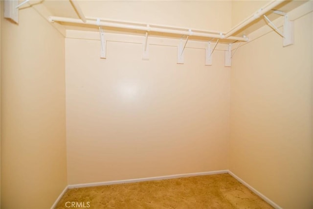 spacious closet featuring light carpet