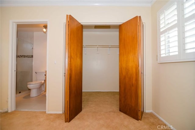 carpeted bedroom with a closet, connected bathroom, crown molding, and baseboards