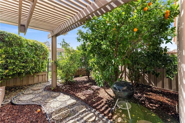 view of yard with a fenced backyard and a pergola