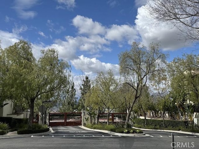 view of road with curbs, a gated entry, and a gate