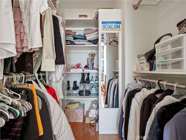 walk in closet featuring wood finished floors